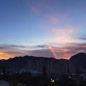 女主白皑草大叔小说免费阅读
