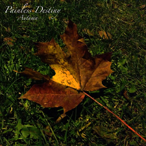 女主白皑草大叔小说免费阅读
