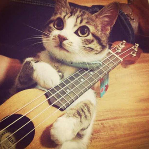 女主白皑草大叔小说免费阅读
