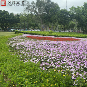 女主白皑草大叔小说免费阅读
